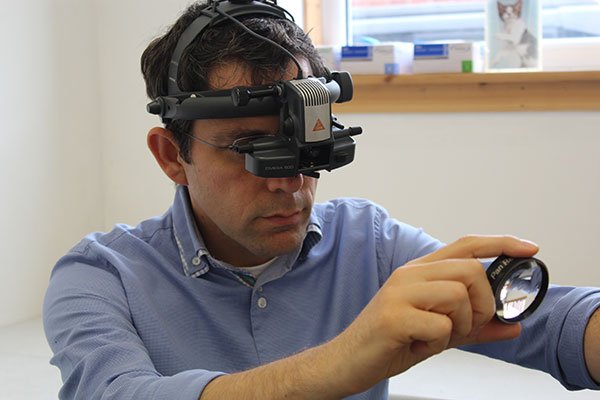 Binocular indirect ophthalmoscopy