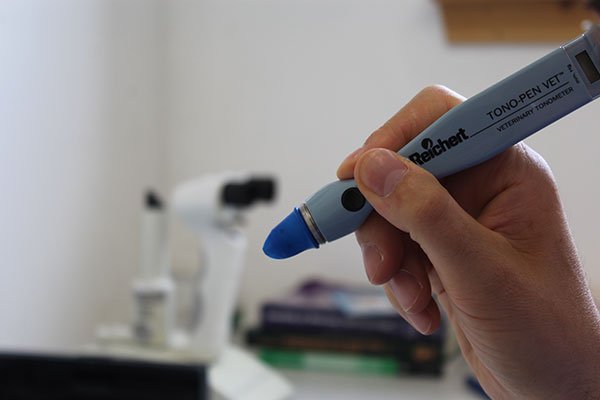 Applanation tonometer in use